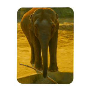 Magnet Flexible Sagesse des éléphants d'or - faune majestueuse