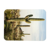 Magnet Flexible Saguaro Cactus, Arizona, USA (Horizontal)