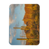 Magnet Flexible Saguaro cactus at sunset (Vertical)