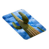 Magnet Flexible Saguaro cactus portrait, Arizona (Côté Droit)