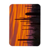 Magnet Flexible Saguaro, sunset, Saguaro National Park (Vertical)