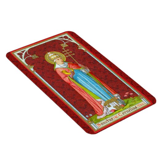 Magnet Flexible Saint-Cornelius (SAU 042) (Côté Droit)