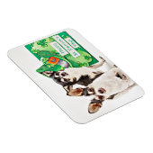 Magnet Flexible Saint Patrick's Day Chihuahua's (Côté Droit)