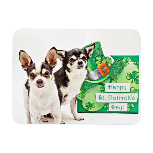 Magnet Flexible Saint Patrick's Day Chihuahua's (Horizontal)