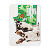 Magnet Flexible Saint Patrick's Day Chihuahua's (Vertical)