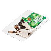 Magnet Flexible Saint Patrick's Day Chihuahua's (Côté Gauche)
