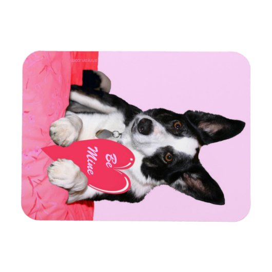 Magnet Flexible Saint-Valentin - "Magpie" (Horizontal)