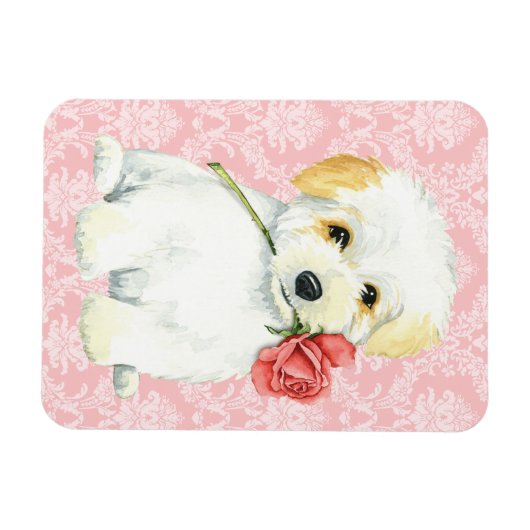 Magnet Flexible Saint-Valentin Rose Coton de Tulear (Horizontal)