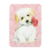 Magnet Flexible Saint-Valentin Rose Coton de Tulear (Vertical)