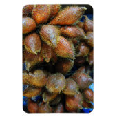 Magnet Flexible Salak [Fruit de serpent] (Vertical)