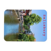 Magnet Flexible Salisbury # 8 (Horizontal)
