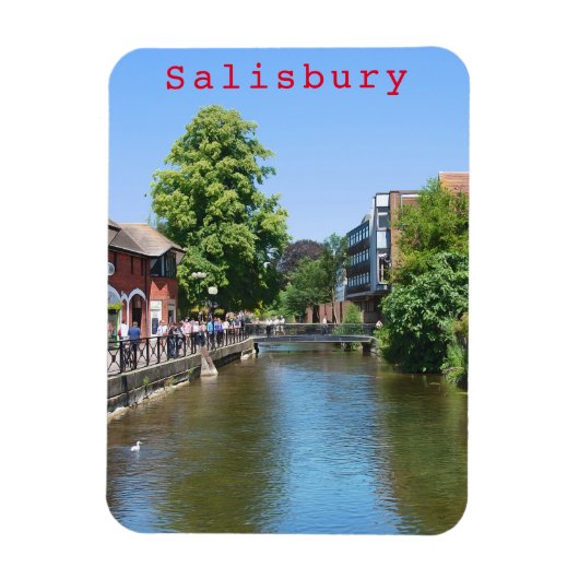 Magnet Flexible Salisbury # 8 (Vertical)