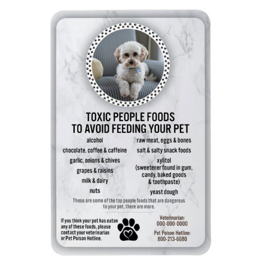 Magnet Flexible Salubrité des aliments pour animaux de compagnie P (Vertical)