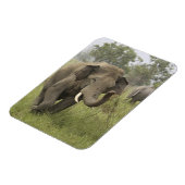 Magnet Flexible Salutation de l'éléphant d'Asie indien (Côté Gauche)