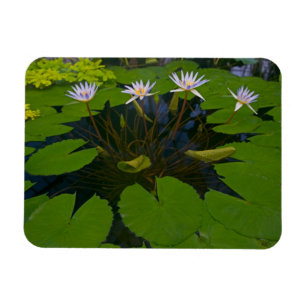 Magnet Flexible San Francisco Californie Golden Gate Park et