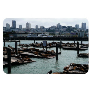 Magnet Flexible San Francisco et Otaries de Pier 39 Ciel de la Vil