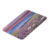 Magnet Flexible Sand Verbena & Dune Primrose Fleurs sauvages au co (Côté Gauche)