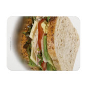 Magnet Flexible Sandwich sain (Horizontal)