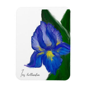 Magnet Flexible Sapphire Iris