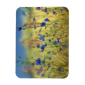 Magnet Flexible Sapphire & Or Aimant Flexible (Vertical)