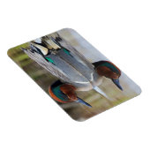 Magnet Flexible Sarcelle à ailes vertes (Côté Droit)