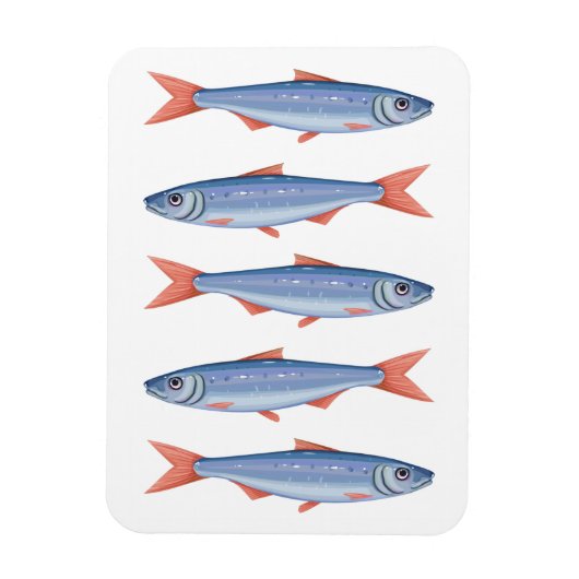 Magnet Flexible Sardines (Vertical)