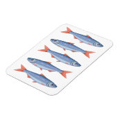 Magnet Flexible Sardines (Côté Gauche)