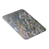 Magnet Flexible Sarrasin de Californie (Côté Droit)