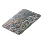 Magnet Flexible Sarrasin de Californie (Côté Gauche)