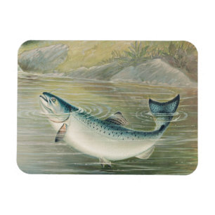 Magnet Flexible Saumon de Californie par S.A. Kilbourne, Poisson V