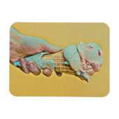 Magnet Flexible Saveur de crème glacée (Horizontal)