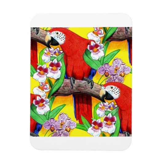 Magnet Flexible Scarlet McCaw (Vertical)