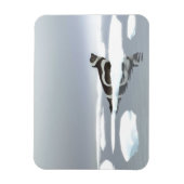 Magnet Flexible Sceau De Ruban Sur Glace (Vertical)