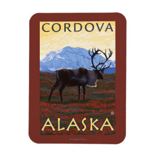 Magnet Flexible Scène de caribou - Cordova, Alaska