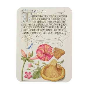 Magnet Flexible Scène de jardin avec fleurs, papillon et champigno