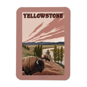 Magnet Flexible Scène de YellowstoneBison