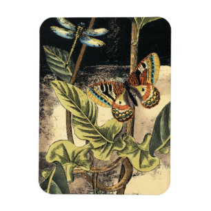 Magnet Flexible Scène foncée de nature par le studio de vision