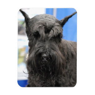 Magnet Flexible Schnauzer géant