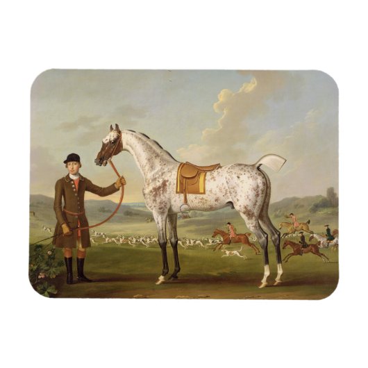 Magnet Flexible Scipio, Colonel Roche's Spotted Hunter, vers 1750 (Horizontal)