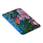 Magnet Flexible Scolarisation Pseudanthias (Côté Droit)