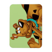 Magnet Flexible Scooby Doo Allongé (Vertical)