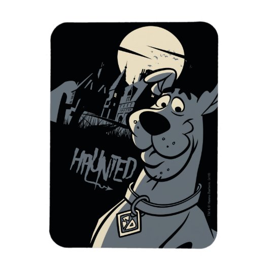Magnet Flexible Scooby-Doo Noir Haunted Mansion Graphic (Vertical)