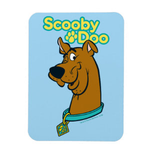 Magnet Flexible Scooby-Doo Winking