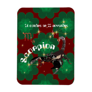 Magnet Flexible Scorpion Premium Flexi