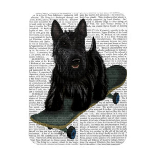 Magnet Flexible Scottish Terrier and Skateboard