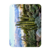 Magnet Flexible Scottsdale succulent Sunset (Vertical)