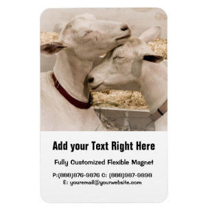 Magnet Flexible Se blottir de chèvres