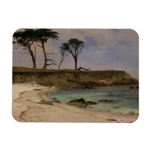 Magnet Flexible Sea Cove (Horizontal)