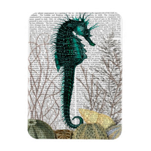 Magnet Flexible SeaHorse et SeaUrchins