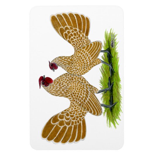 Magnet Flexible Sebrights Buff Laced (Vertical)